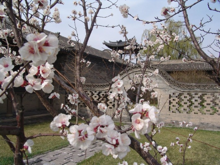 Xingyuan