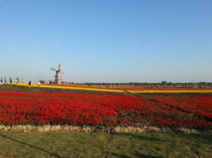 Dawei Ecological Agricultural Tourism Scenic Area