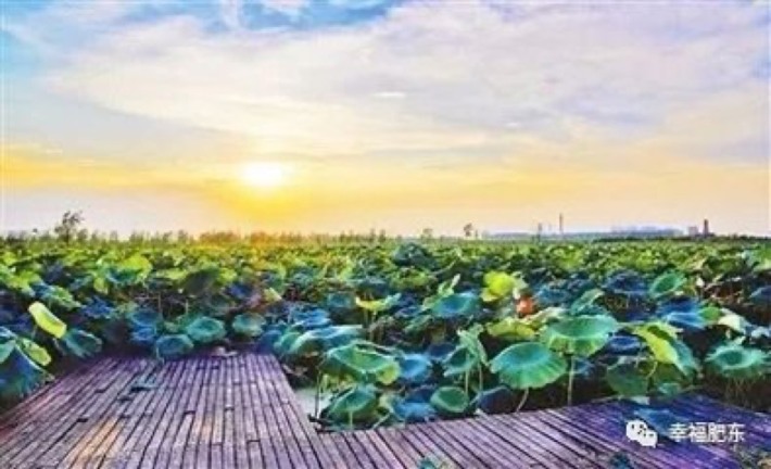 Anhui Feidong Longqidi Provincial Wetland Park