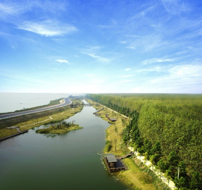 Hefei Binhu National Forest Park