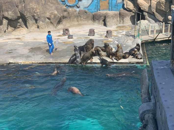 Aquarium