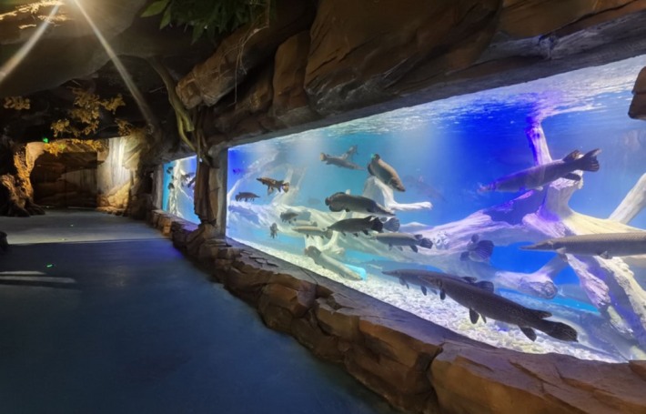 Tianjin Cultural Center Underwater World