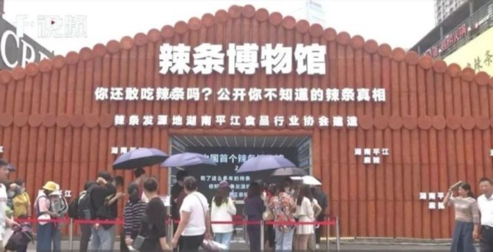 Spicy Tiao Museum