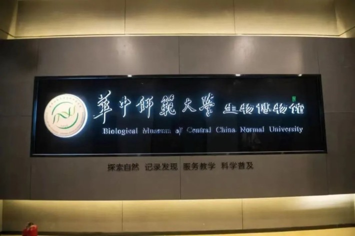 Central China Normal University Biological Museum