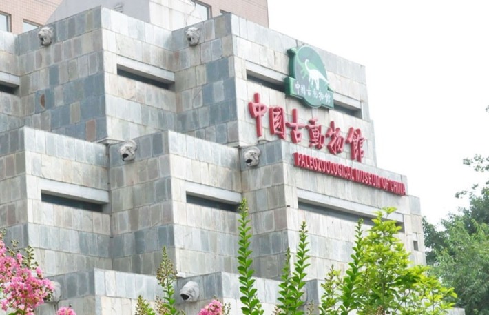 Palaeozoological Museum of China 24