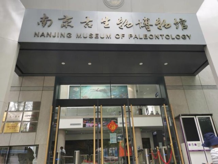 Nanjing Museum of Paleontology