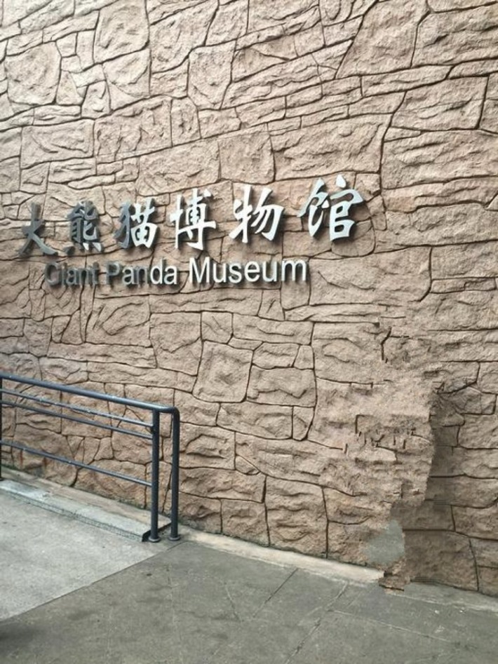 Giant Panda Museum 1
