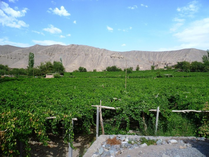 Grape Valley (Putao Gou)
