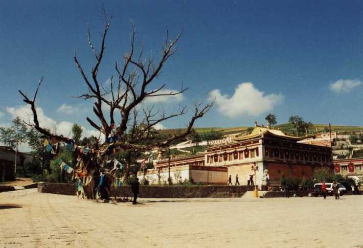 Ta'er (Kumbum) Monastery