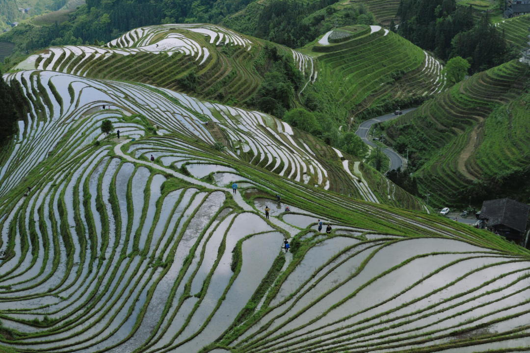 Waking up in Guilin feels like waking up inside a dream