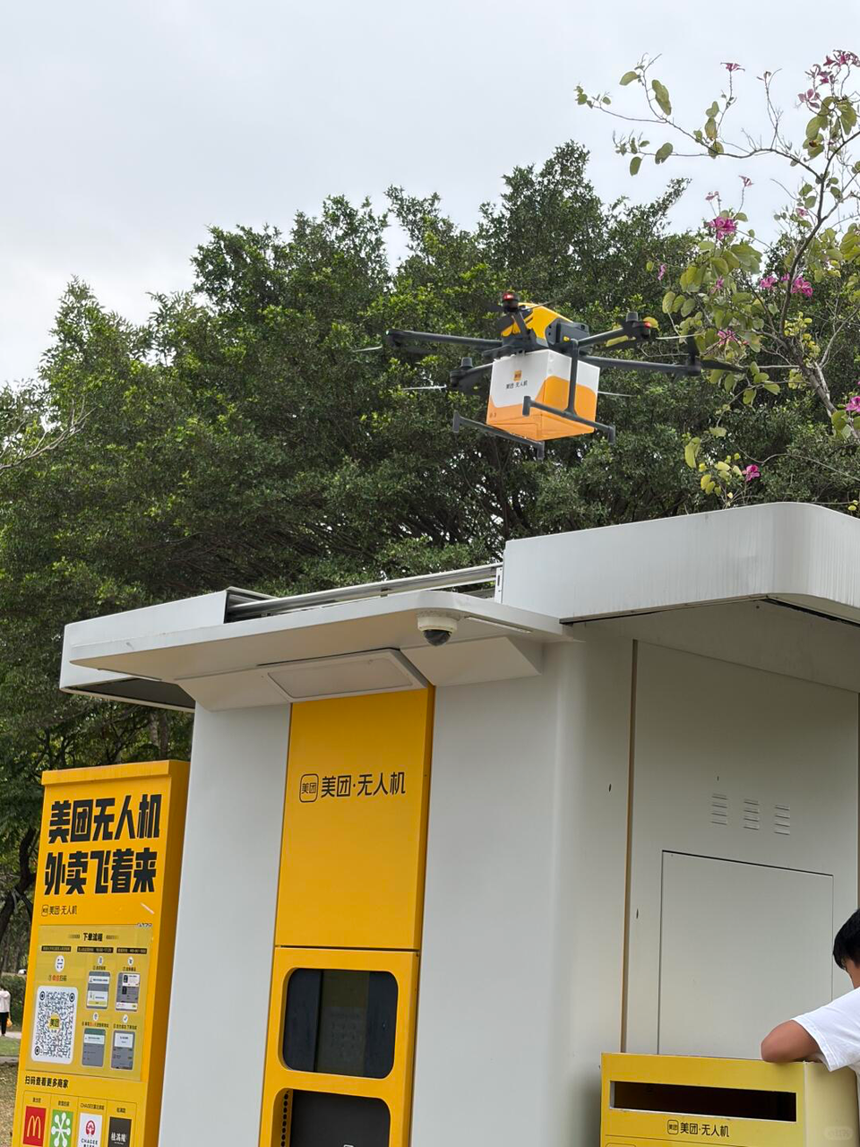 Drone food delivery, electric buses everywhere, and