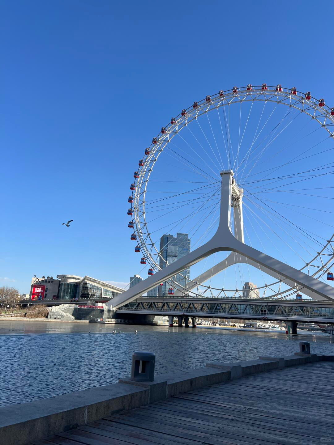 해 질 녘 '천진아이' 관람차 뷰는 진짜 반칙... 🎡 하이허 강물에 비친 불빛들이 너무 영롱해서