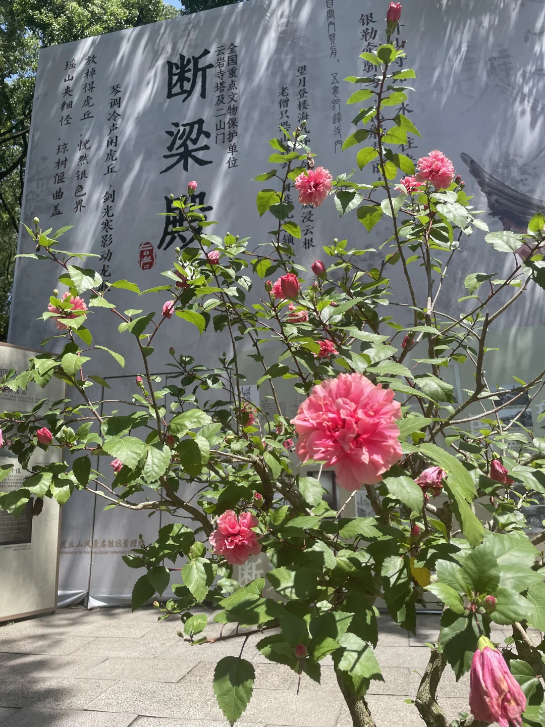 很想苏州…💕 #苏州 #外国人 #俄罗斯美女 #俄罗斯 #旅游 #江苏 #中国