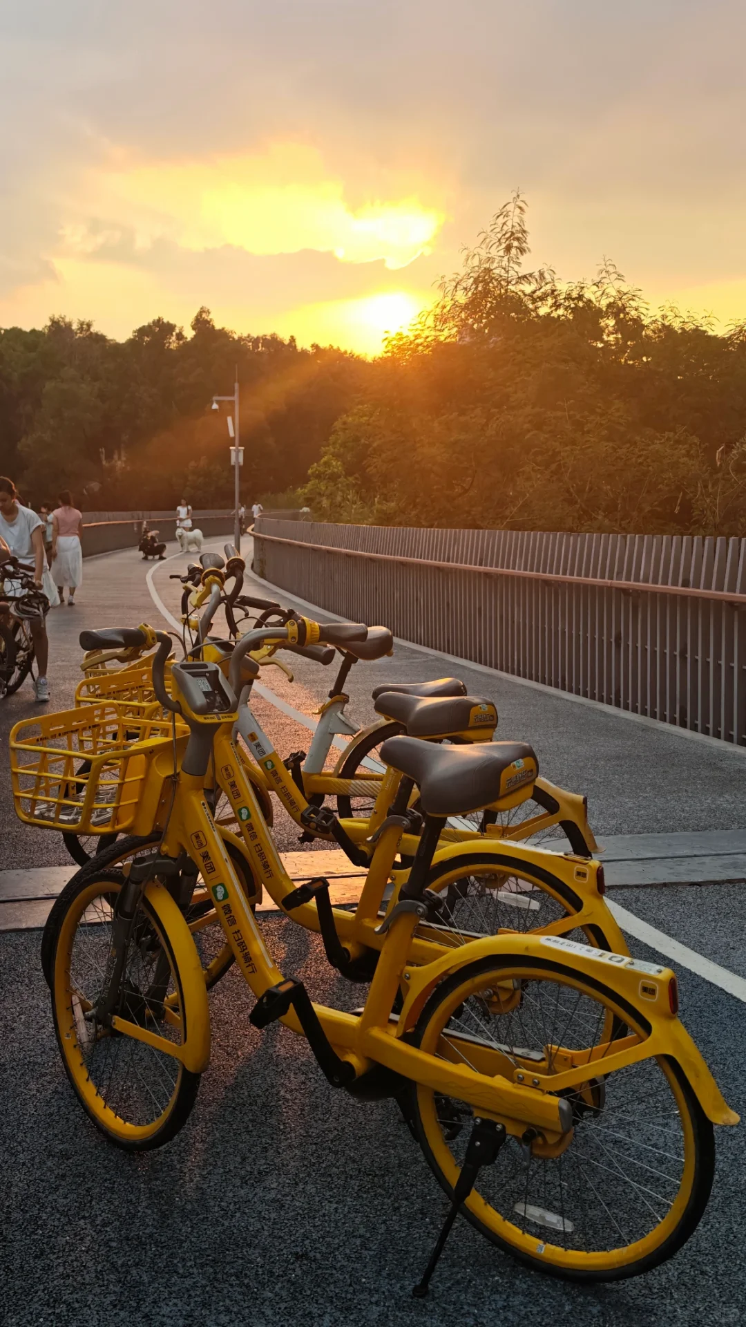 和美女骑行很开心, 下次再约 🧡🚲 #日落爱好者 #记录美好生活 #俄罗斯美女 #深圳拍照 #深圳去哪玩