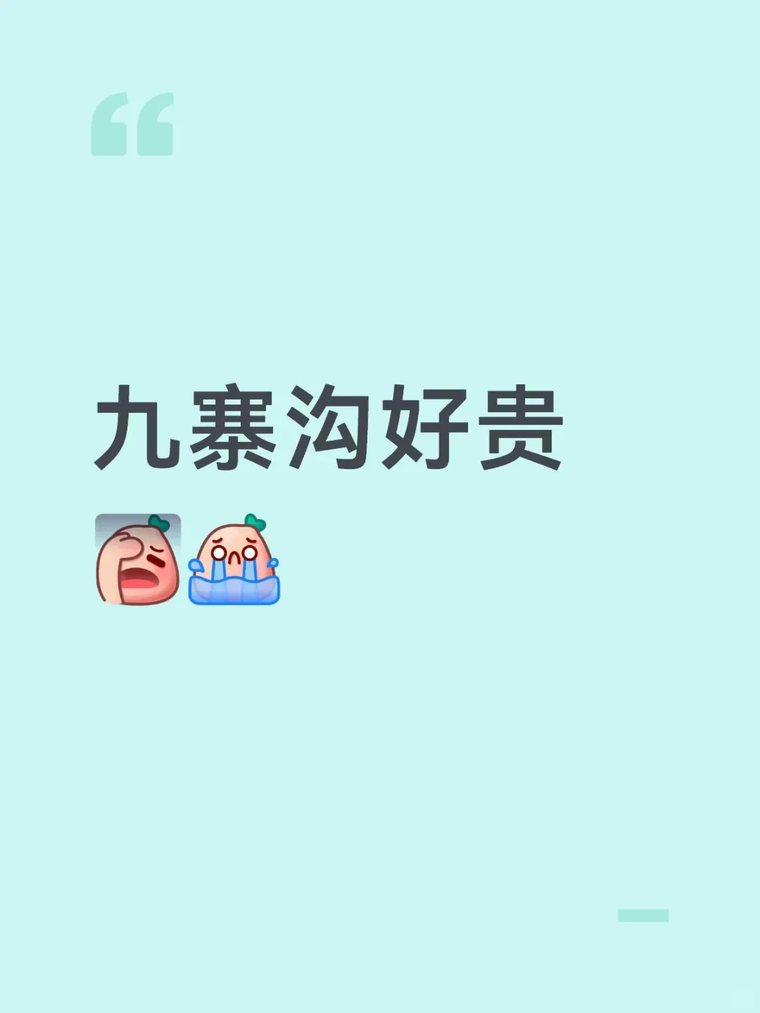 从来没人跟我说过九寨沟这么贵 作为外地游客，不算机票住宿，什么都不算，就只来算成都市里去一趟九寨沟的开销