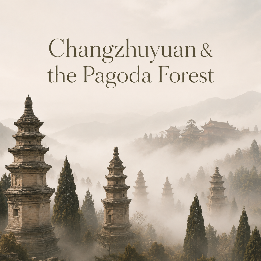Changzhuyuan and the Pagoda Forest: Two Kinds of