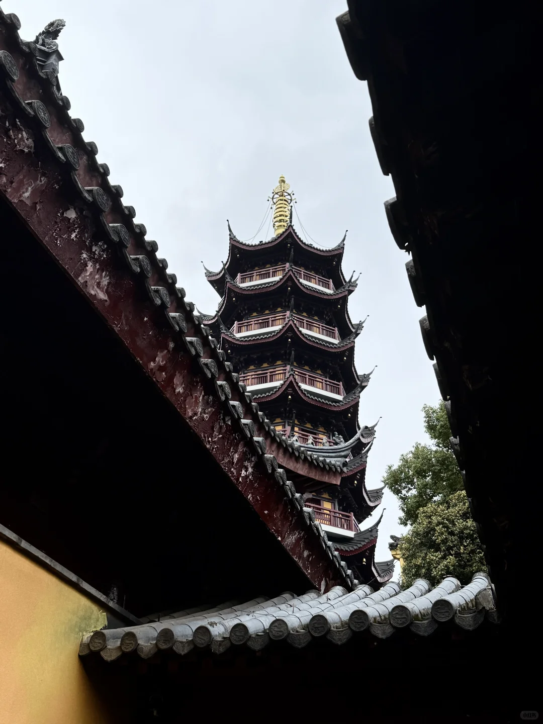 在中国三年了😍 感谢自己🥰也感谢我家人，朋友们❤️不管发生什么，他们都会支持我！