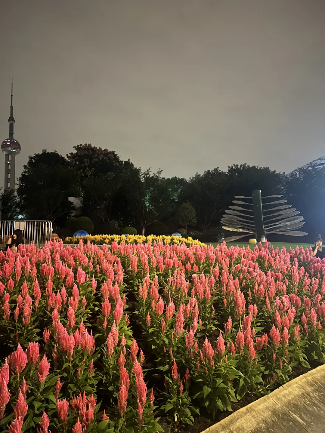 好美的上海