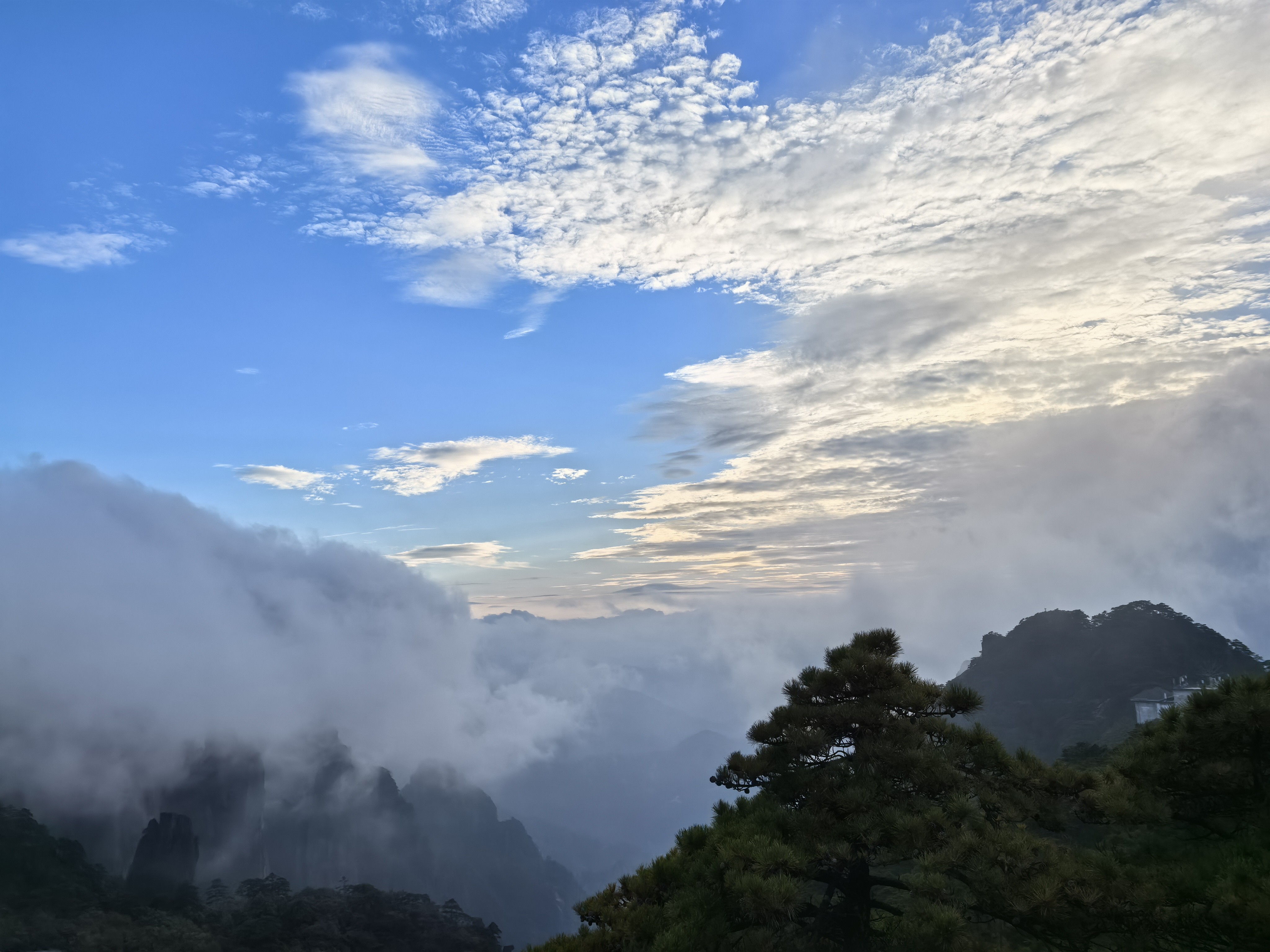 Cheng Wang, local guide in Huangshan City