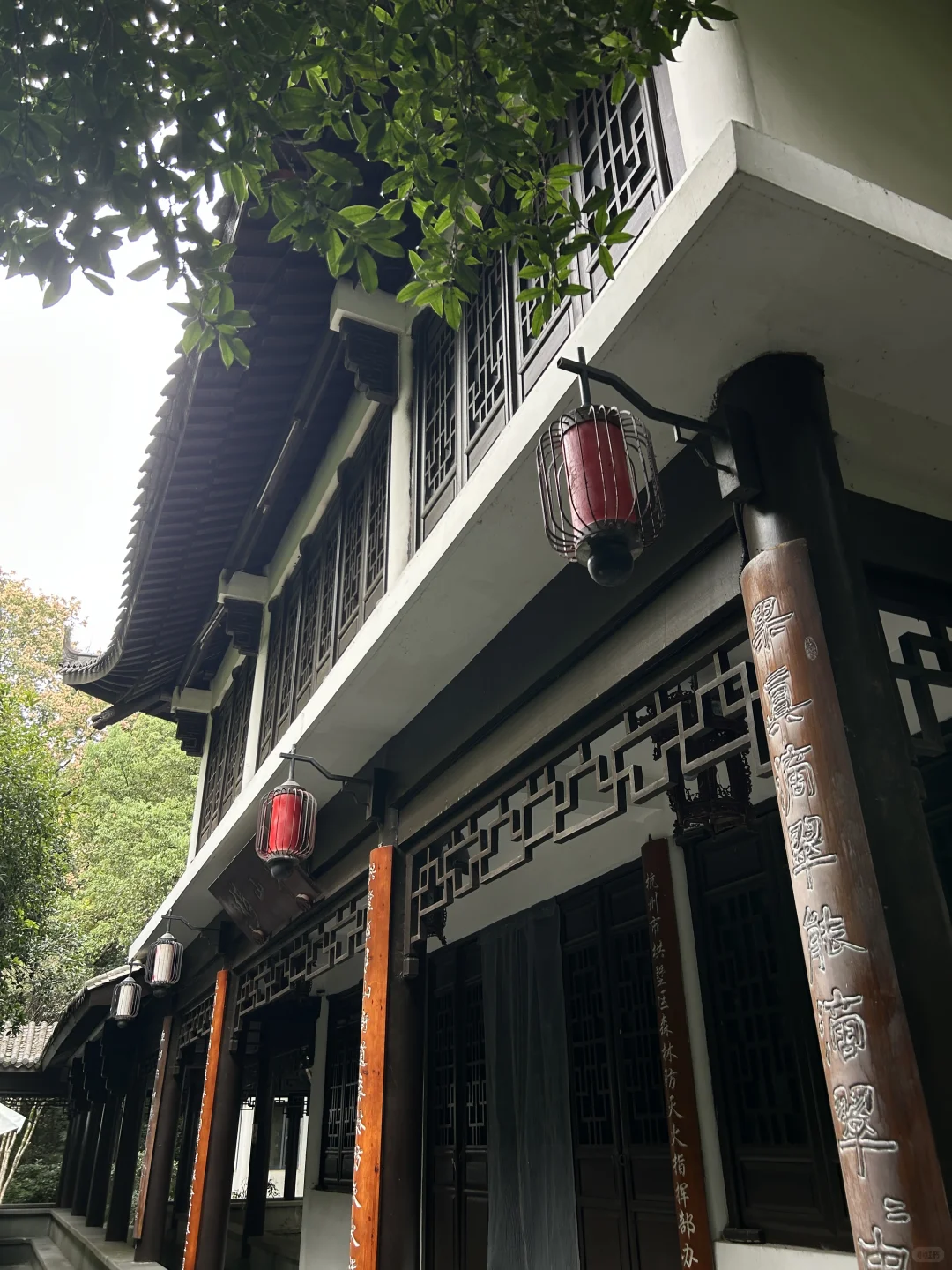 我刚找到了杭州的the most peaceful地方 🍃 #外国人 #外国人在中国