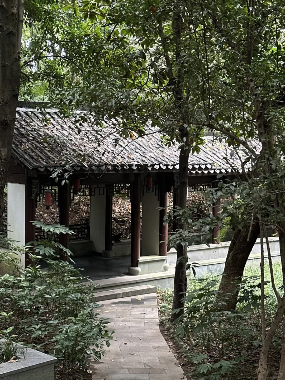 我刚找到了杭州的the most peaceful地方 🍃 #外国人 #外国人在中国