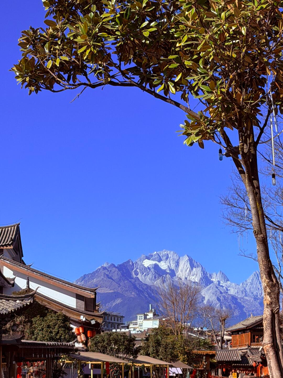 Walking through Lijiang Old Town at sunrise is the only