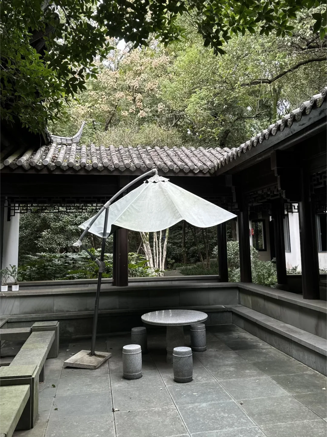 我刚找到了杭州的the most peaceful地方 🍃 #外国人 #外国人在中国
