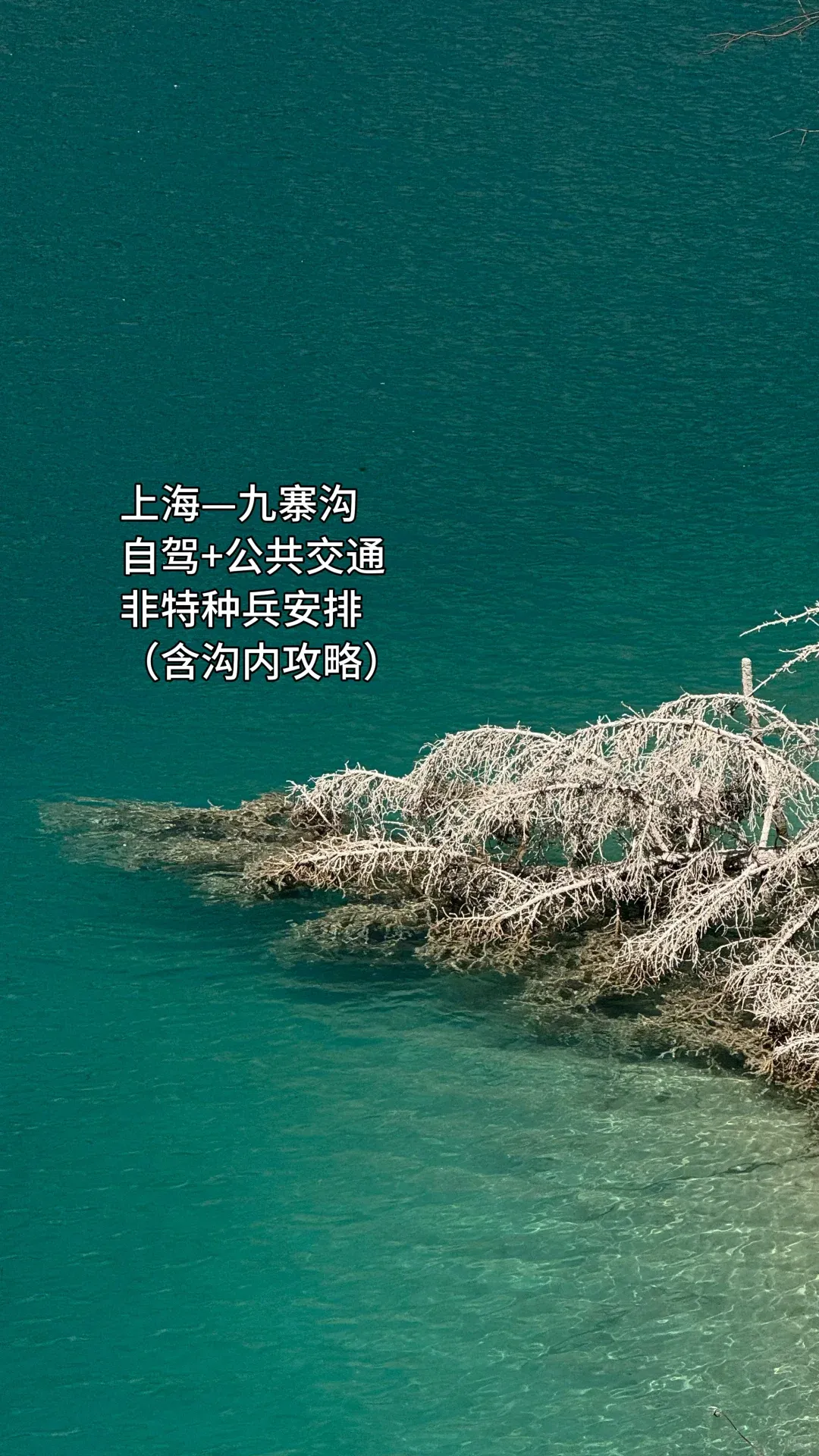 自驾+飞机：上海-成都-绵阳-九寨6天 回上海以后翻来覆去思前想后还是觉得
