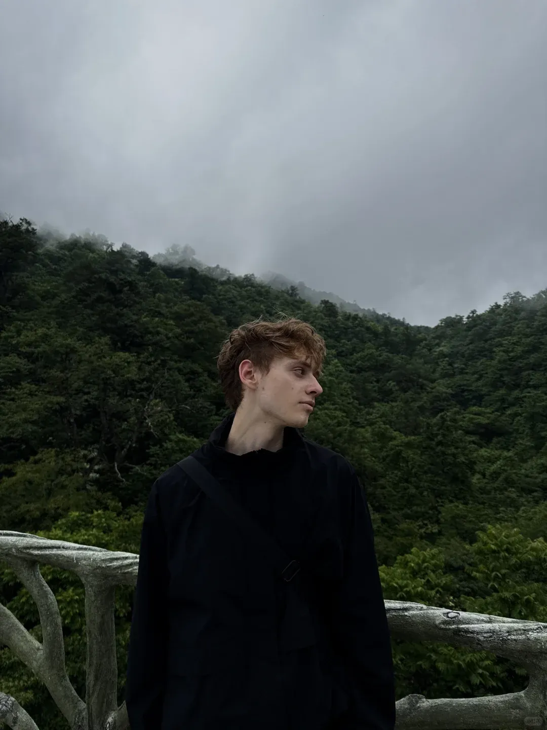 A cloudy day in Zhangjiajie ⛰️🌳🦎