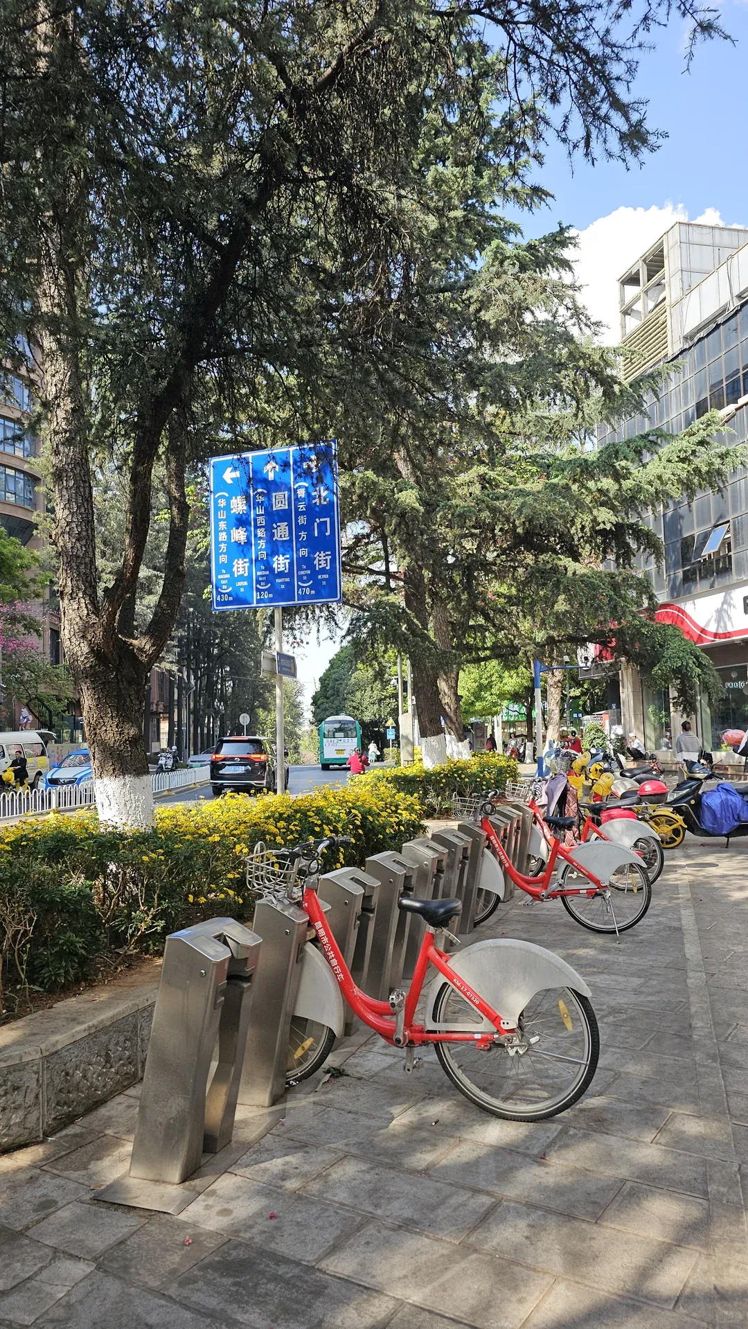 1st time in Yunnan,Kunming 第一次来中国,我来云南 Day2 city walk