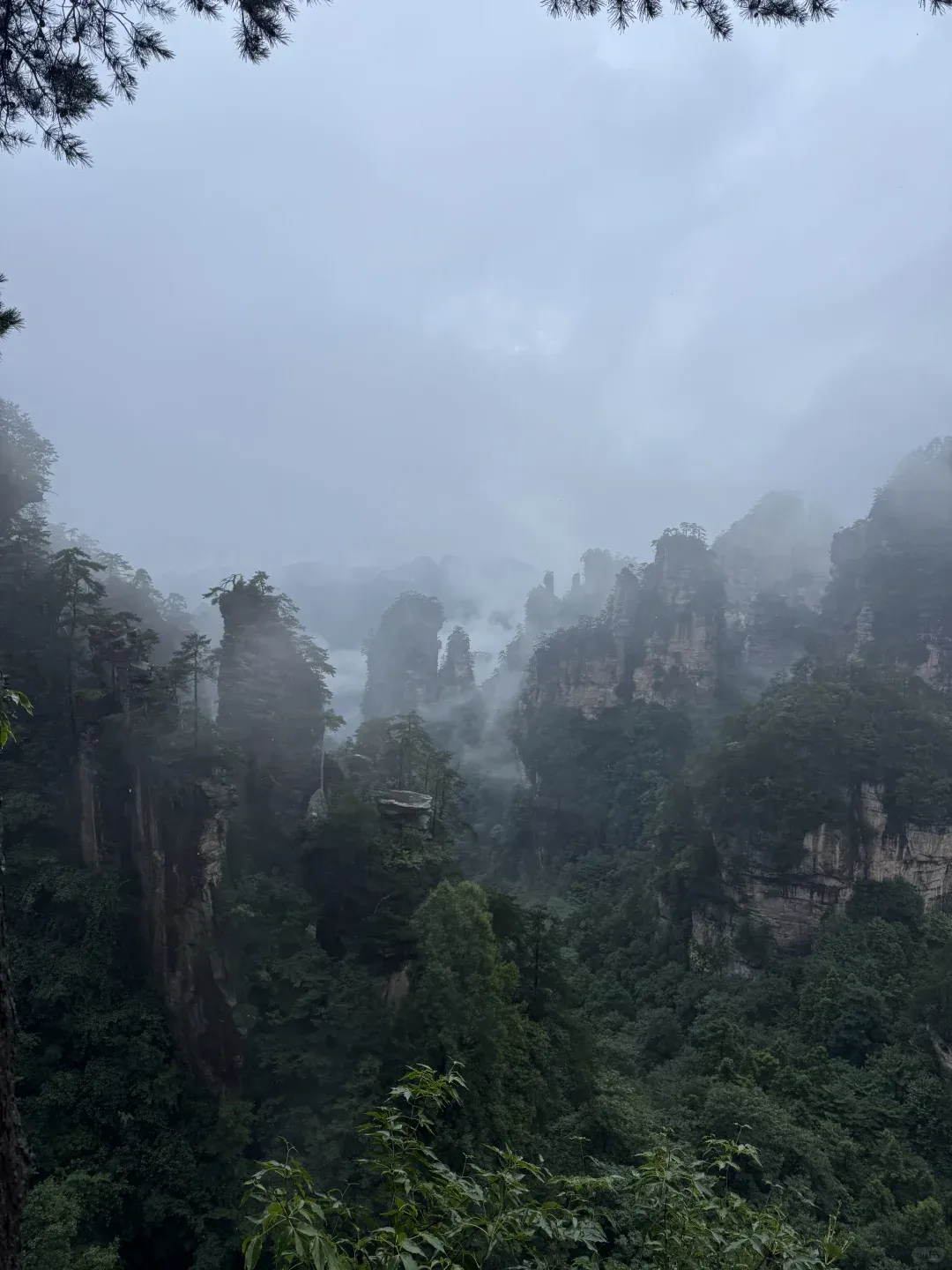 Zhangjiajie's Rainy Day vs. Sunny Day Rainy and sunny